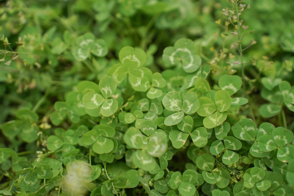 Introductie nieuwste nummer: interventies centraal